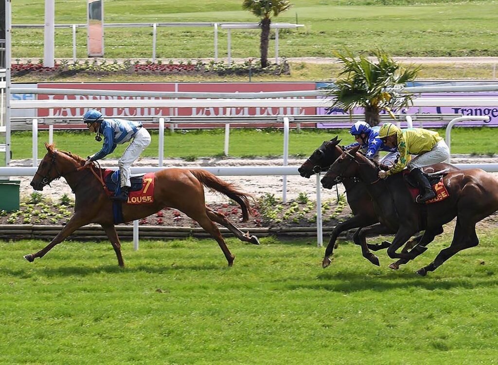 Sheikh Mansour bin Zayed Al Nahyan Racing Festival cup starts tomorrow