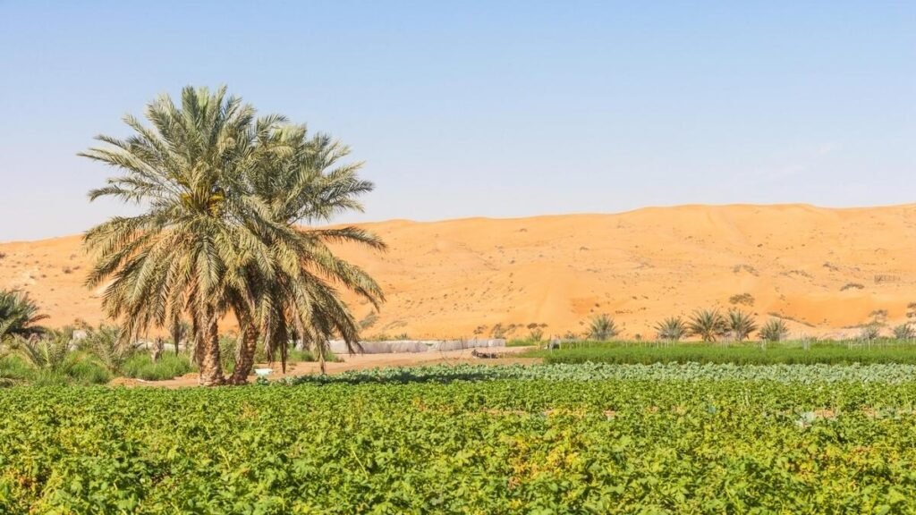 UAE Introduces Opportunities for Agricultural Sector Growth