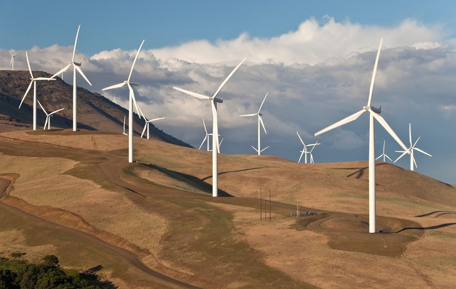 ACWA Power Secures Land For 10GW Wind Project In Egypt