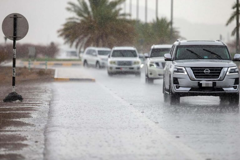 UAE Weather Alert: Anticipated Rain and Strong Winds