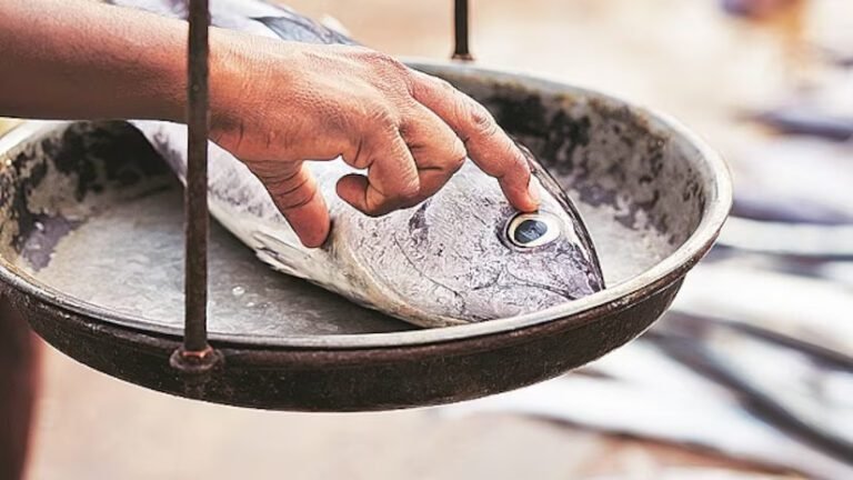 India's Fish Consumption Soars 81%, Production Doubles from 2005-2021