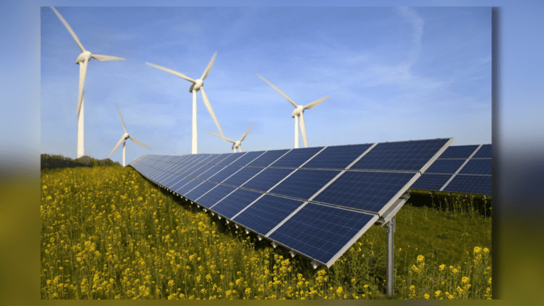 India Achieves Record 18 GW Renewable Energy Capacity Addition in FY24