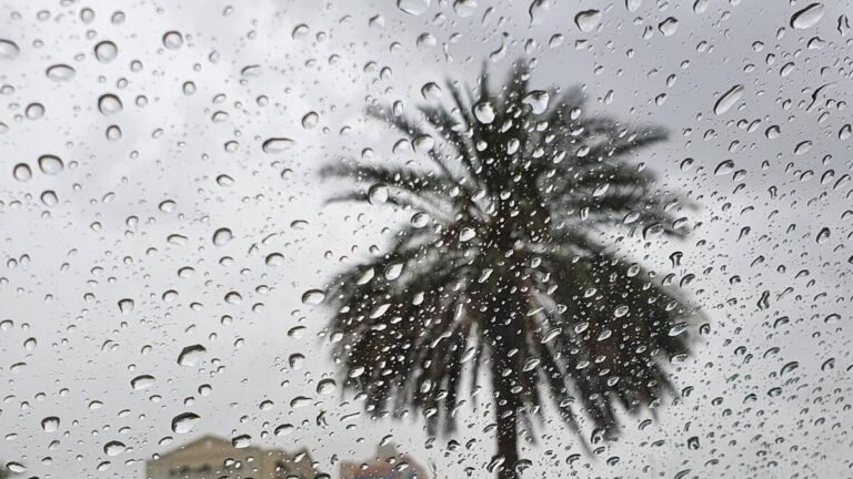Potential Rain Expected in UAE Weekend Forecast