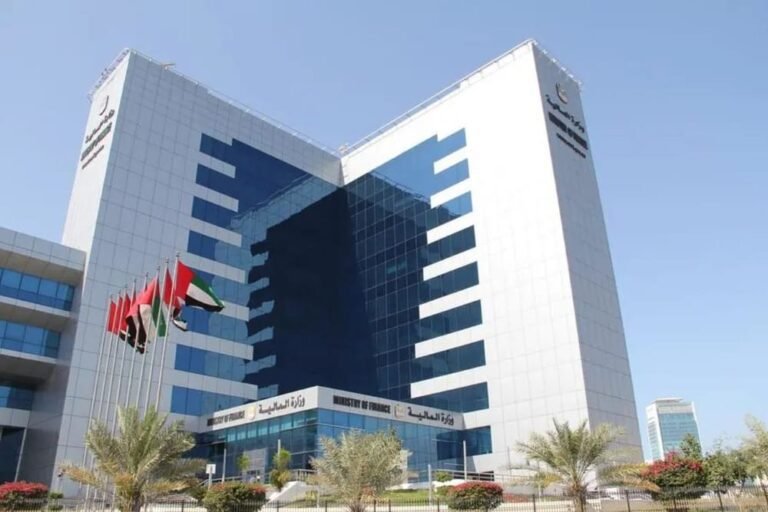 UAE VAT and Excise Tax Revenues Hit AED 173.6B