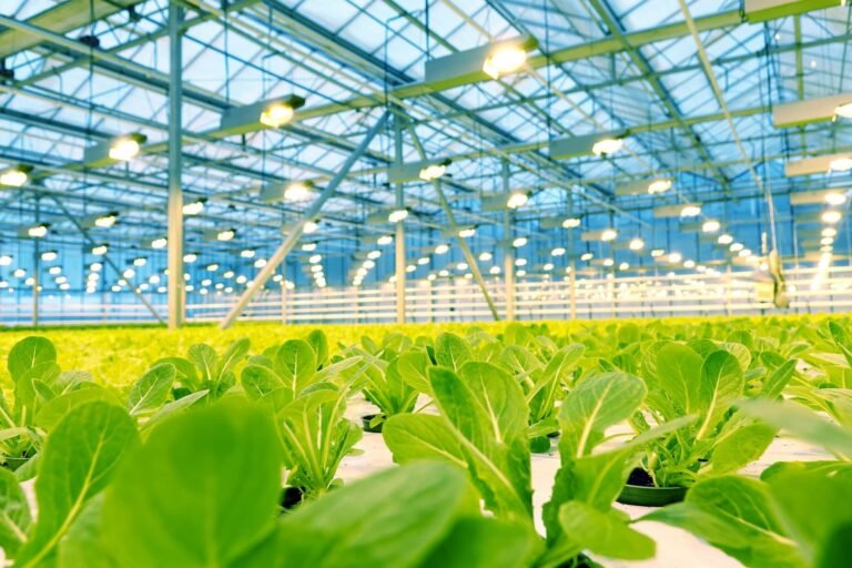 US startup Plenty secures $680M deal for indoor farms in UAE