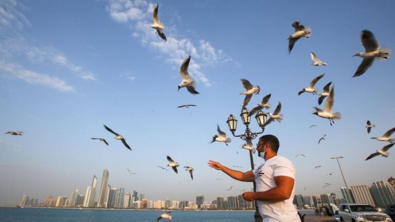 Dust Storms May Affect Some Areas