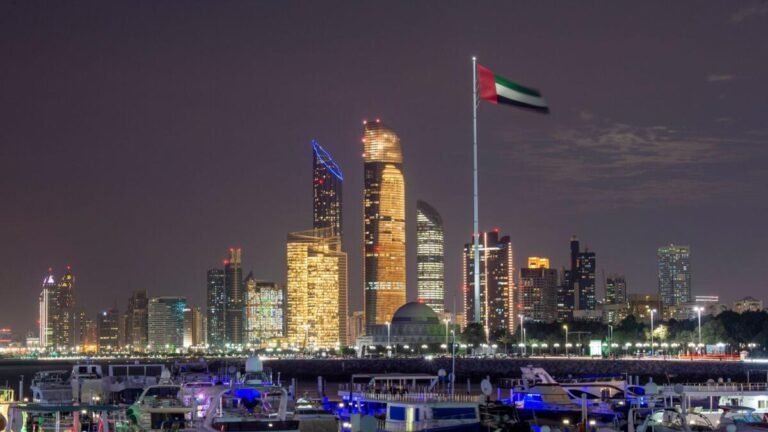 UAE's Business-First Soft Power Diplomatic Drive Unveiled