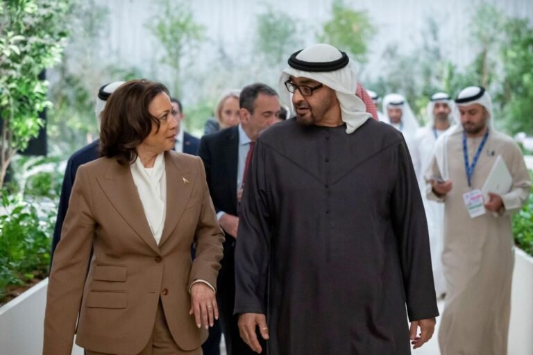 UAE Analysts Predict Active Role for Kamala Harris in Middle East Humanitarian Crises