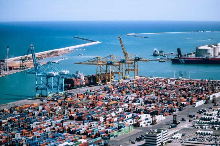 UK's BII Invests $35M in Congo Port Project, Enhances DP World Partnership