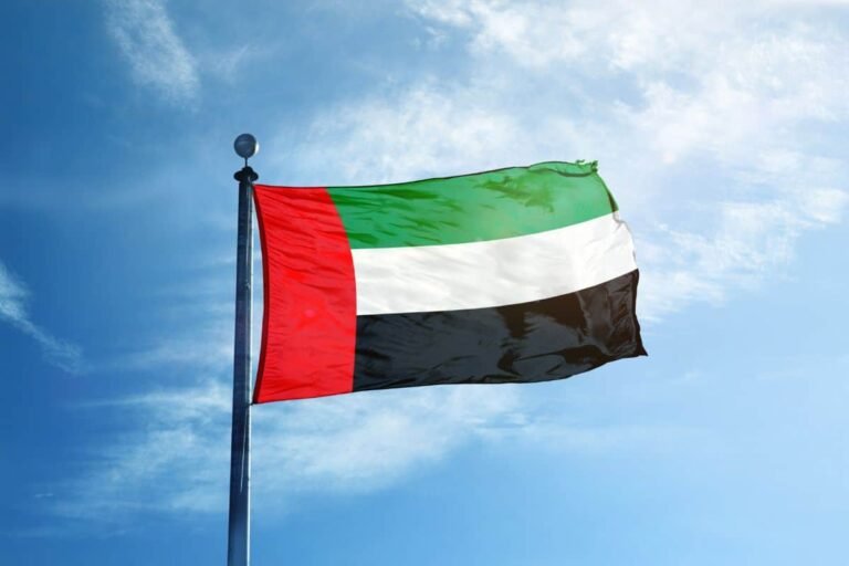 UAE Achieves Record Non-Oil Trade of $381bn in First Half of 2024