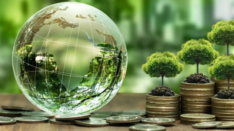 Green Finance Key to Climate Resilience: WGES 2024