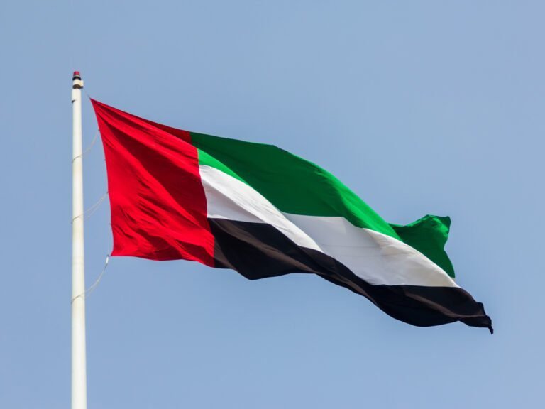 UAE Attracts $16B Greenfield FDI, Boosting Growth